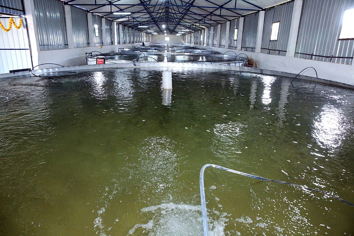 Dr.Vijayalakshmi Veeramachaneni